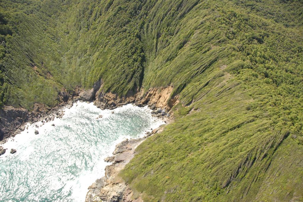 Carribbean Madicreole Au Carbet Villa Le Carbet Eksteriør bilde